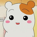赵有伟